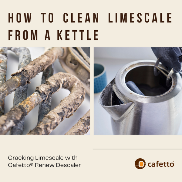 How to clean limescale from a kettle Cafetto