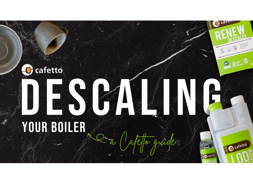 Boiler descaling